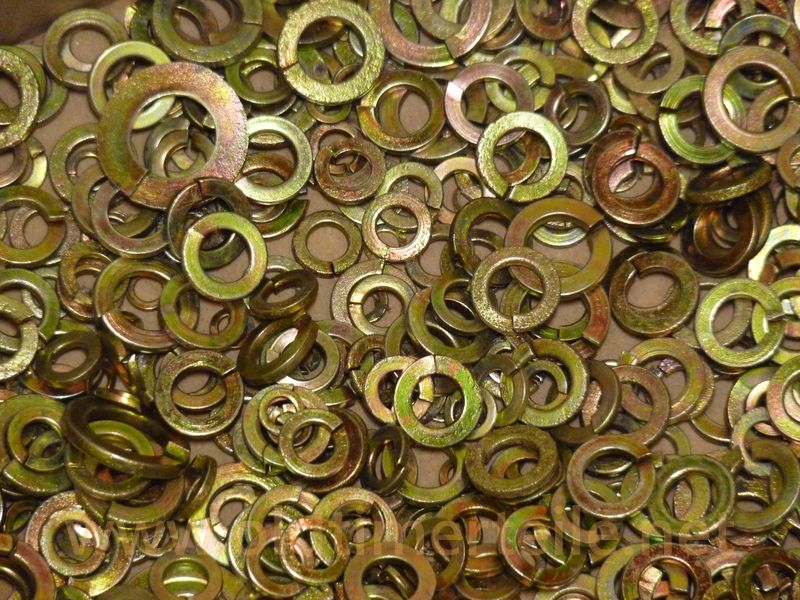 Anillos elásticos