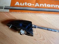 Antena – imagen 11
