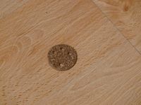 Cork gasket – image 1